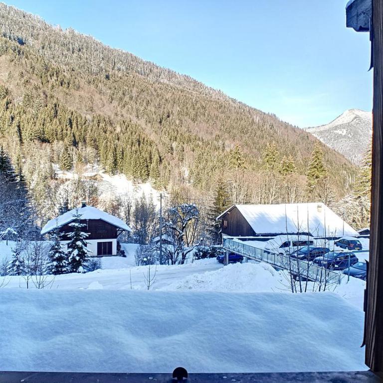 CHALET NEUF -SAINT JEAN D'AULPS STATION 12 PERSONNES - CIMES C6 - Chalet - 24
