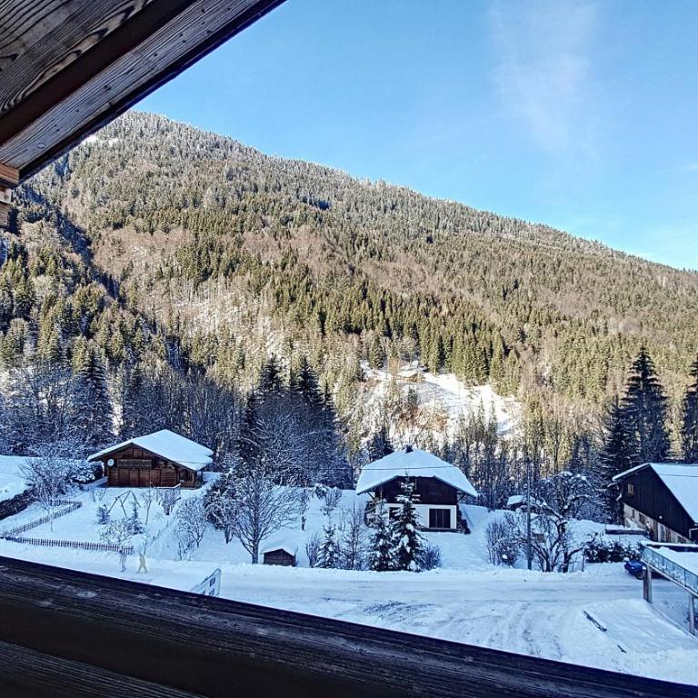CHALET NEUF -SAINT JEAN D'AULPS STATION 12 PERSONNES - CIMES C6 - Chalet - 28