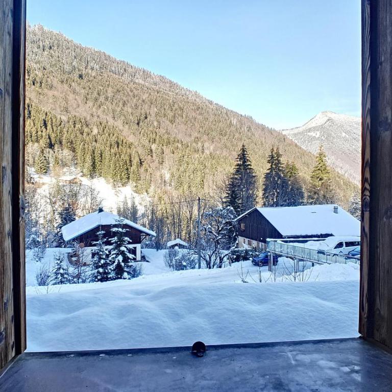 CHALET NEUF -SAINT JEAN D'AULPS STATION 12 PERSONNES - CIMES C6 - Chalet - 25