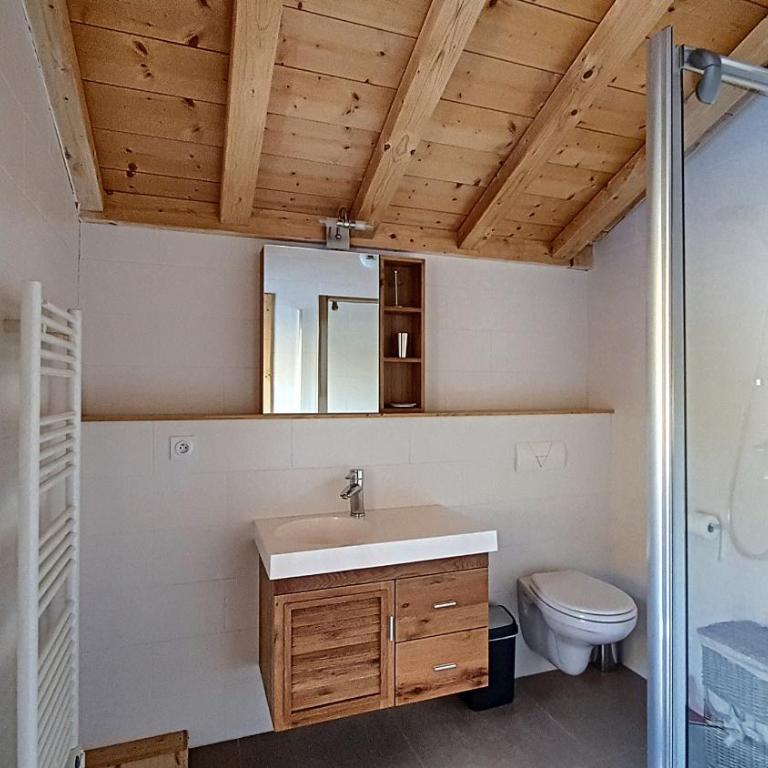 CHALET NEUF -SAINT JEAN D'AULPS STATION 12 PERSONNES - CIMES C6 - Chalet - 20