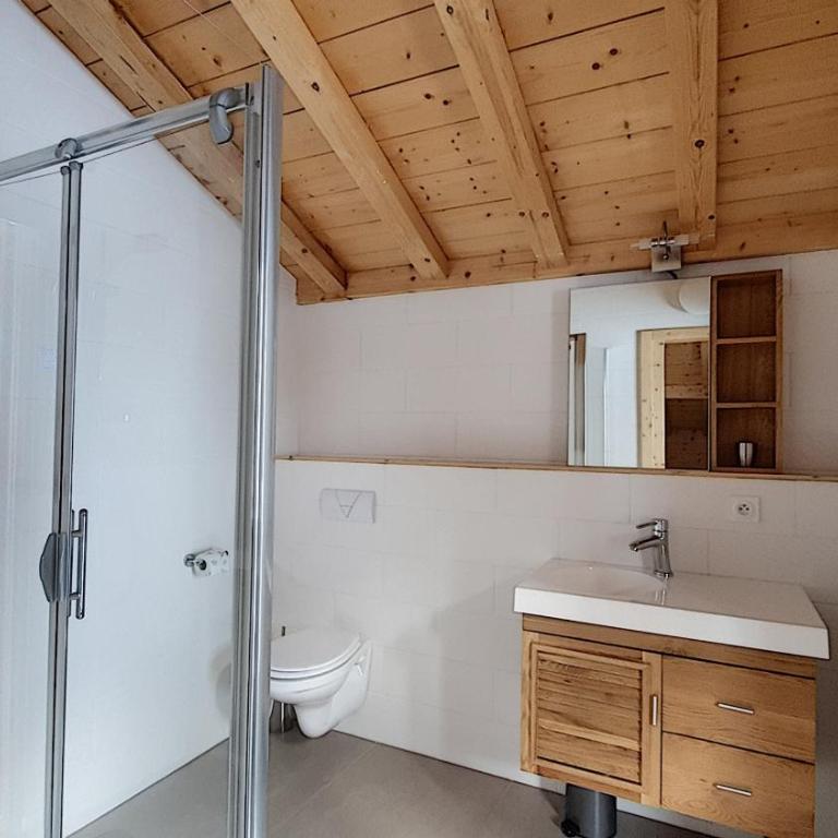 CHALET NEUF -SAINT JEAN D'AULPS STATION 12 PERSONNES - CIMES C6 - Chalet - 21