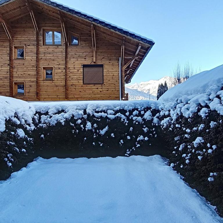 APPARTEMENT MONTRIOND - PROCHE MORZINE - PROCHE PISTES DE SKI - Orée de Morzine 6C - Appartement avec Vue sur la Montagne - 9