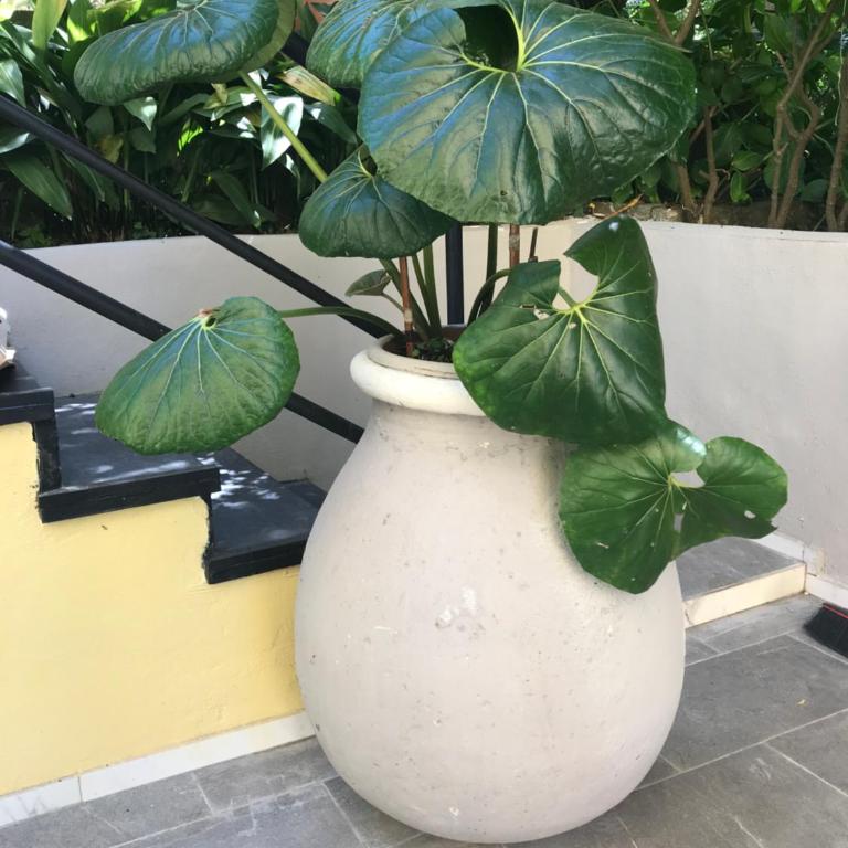 Casa Perla - Casa Vacanze - 47