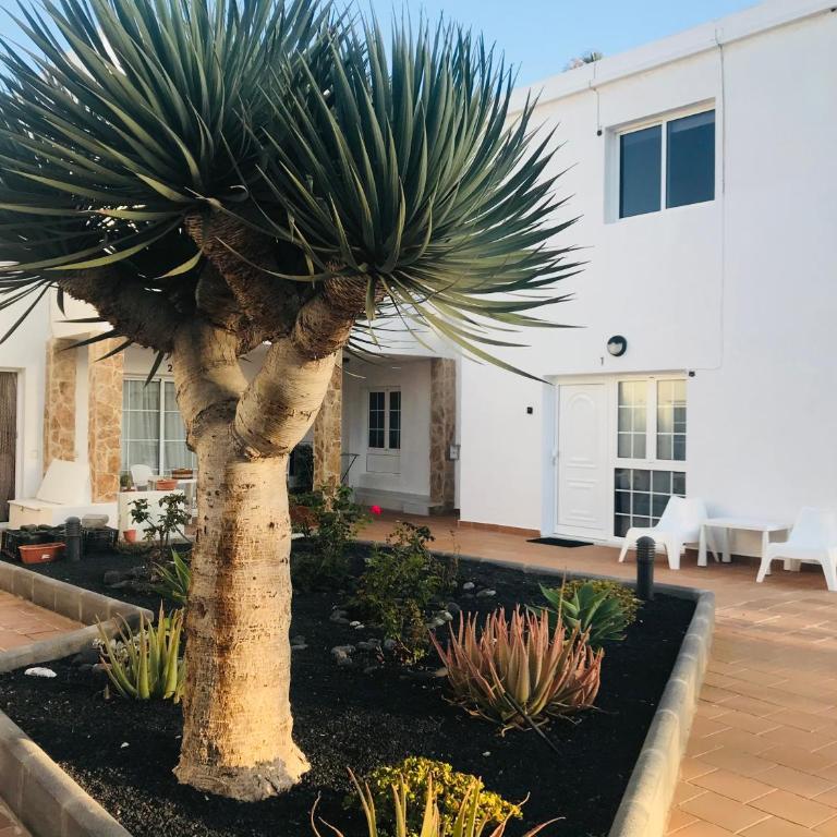 Olas de Lobos - Apartamento de 1 dormitorio - 6