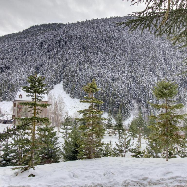 Eth Pradeth by Totiaran en Baqueira a pie de pistas, 5p - Apartamento de 1 dormitorio - 24