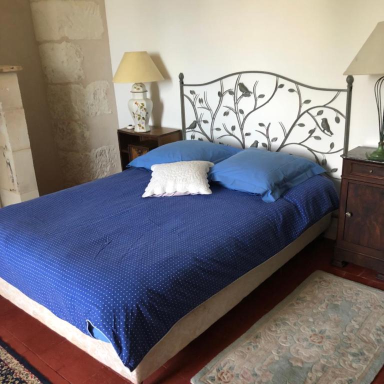 Grand gite en rez-de-jardin - Appartamento con 1 Camera da Letto - 4