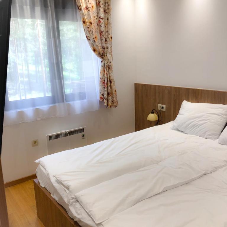 s23 green - Apartman sa 2 Spavaće Sobe - 5
