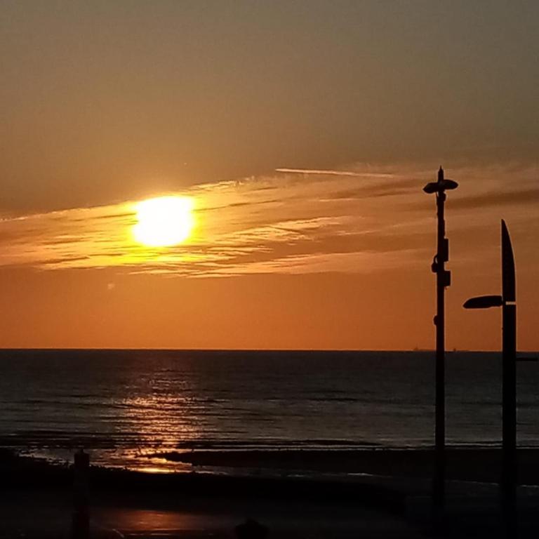 Appartement Wimereux "les pieds dans l'eau", parking, wifi - Apartment mit Meerblick - 17