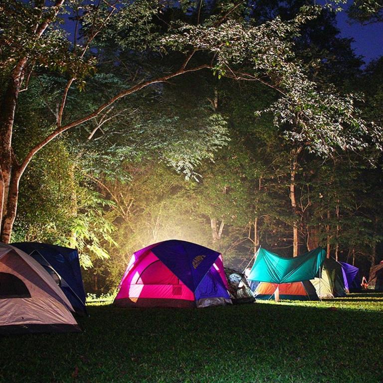 Hospedaje y Zona de Camping Pistacho - Tent - 1