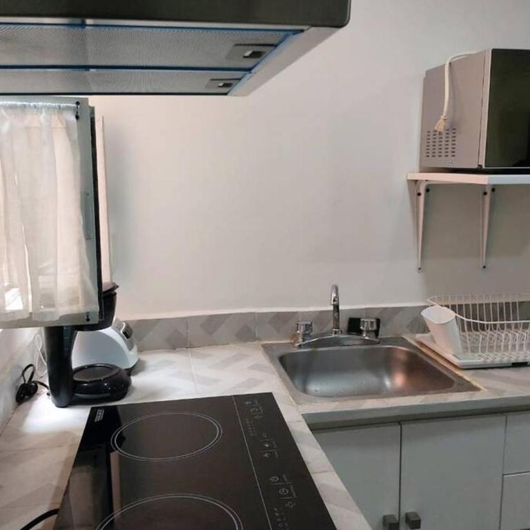 Lovely loft at the business heart of Mexico City - One-Bedroom Apartment - 3