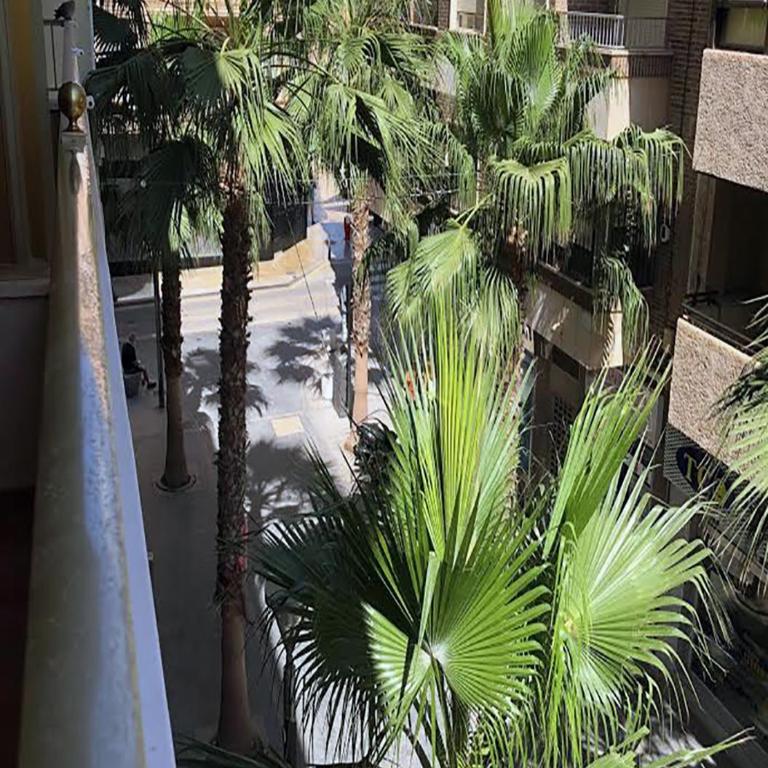 PISO CENTRO CIUDAD CLUB NAUTICO - Apartamento de 3 dormitorios - 6