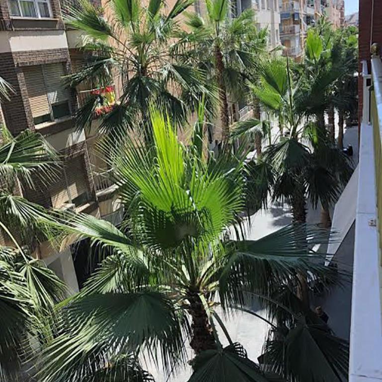 PISO CENTRO CIUDAD CLUB NAUTICO - Apartamento de 3 dormitorios - 5