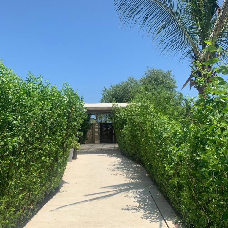 Morros ío Serena Del Mar - RNT 95283-523 - Apartamento de 1 dormitorio - 28