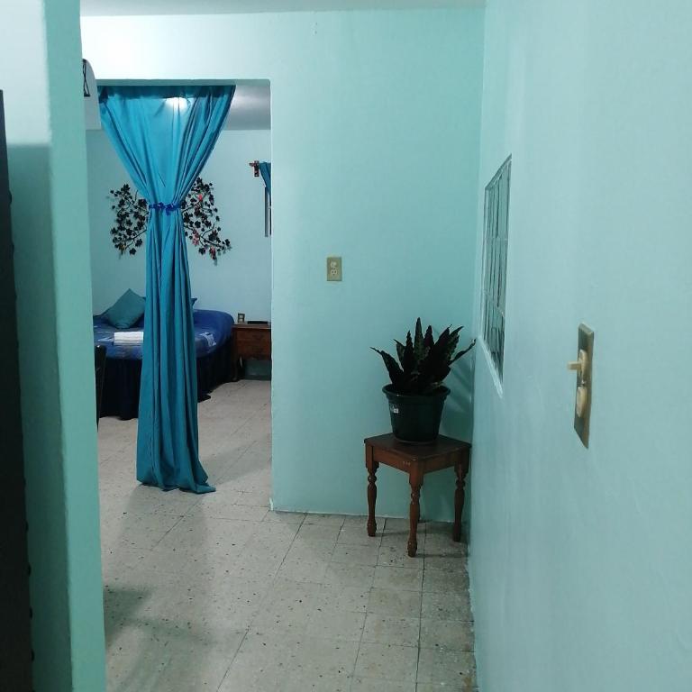 DEPARTAMENTO CERCANO AL AEROPUERTO T2, A 2 CALLES - Standard Apartment - 25