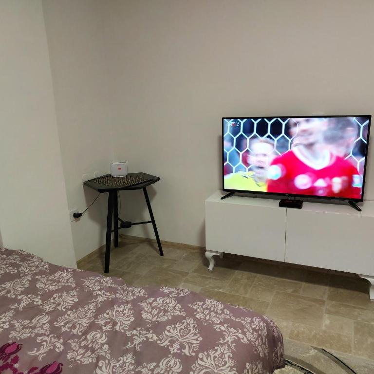 Lovely, neat and quite apartment Dalia, private parking - Apartman sa Terasom - 20