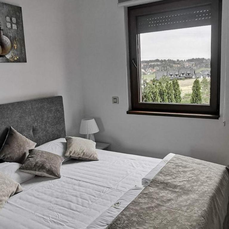 Apartman sa dvorištem Modesty Apartment Zlatibor - Apartment - 25