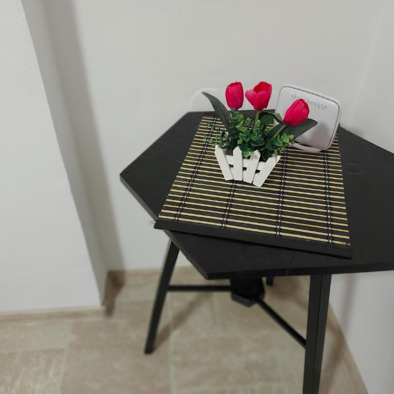 Lovely, neat and quite apartment Dalia, private parking - Apartman sa Terasom - 28