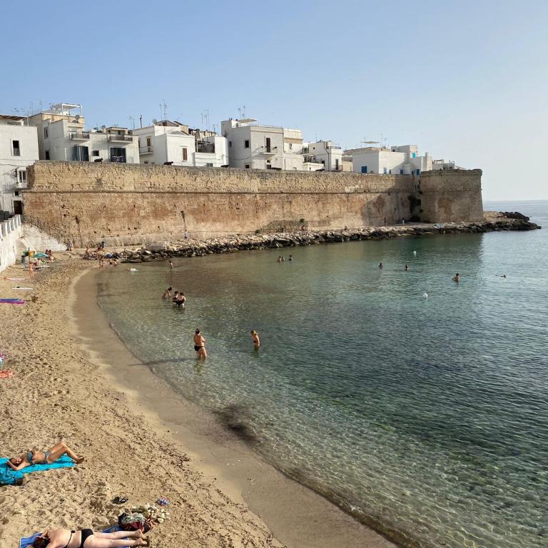 Le dimore di Vittorio Emanuele - Appartamento con 1 Camera da Letto - 17