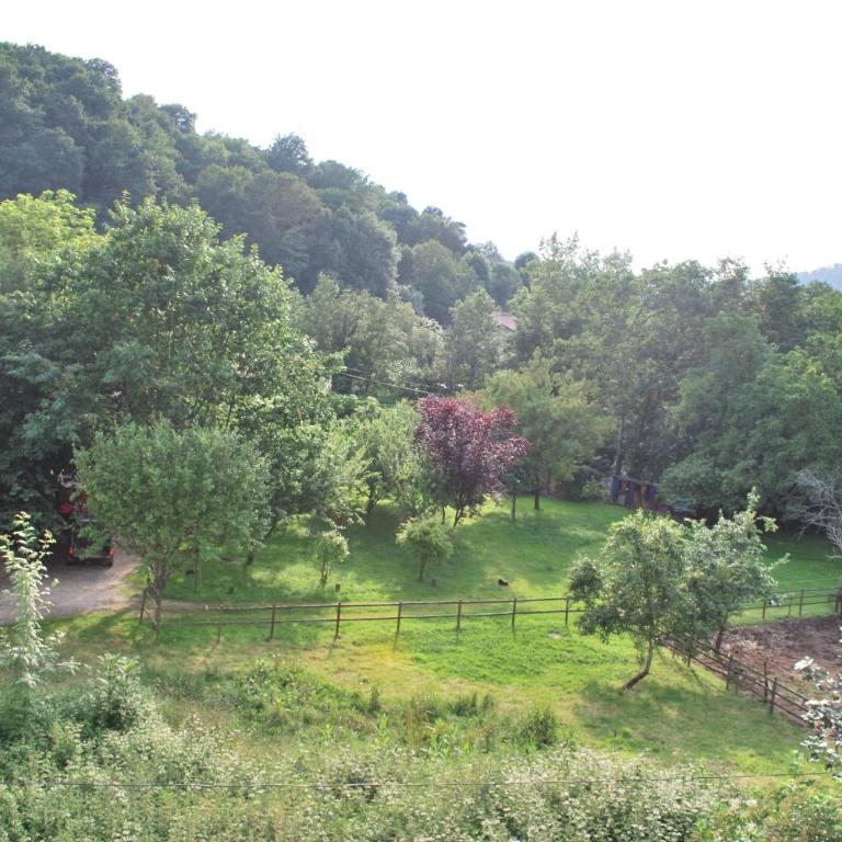 Apartamento Rural Lago Ercina - Apartamento de 2 dormitorios - 53