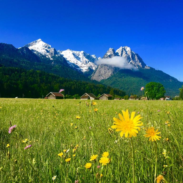 Alpine Escape Holiday Home with Mountain View - Ferienhaus - 36