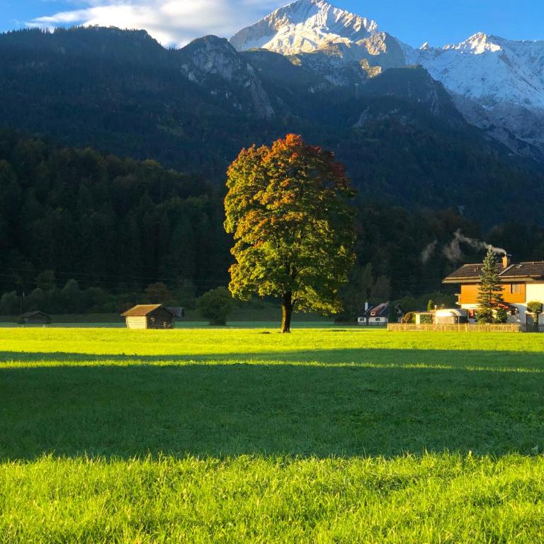 Alpine Escape Holiday Home with Mountain View - Ferienhaus - 44