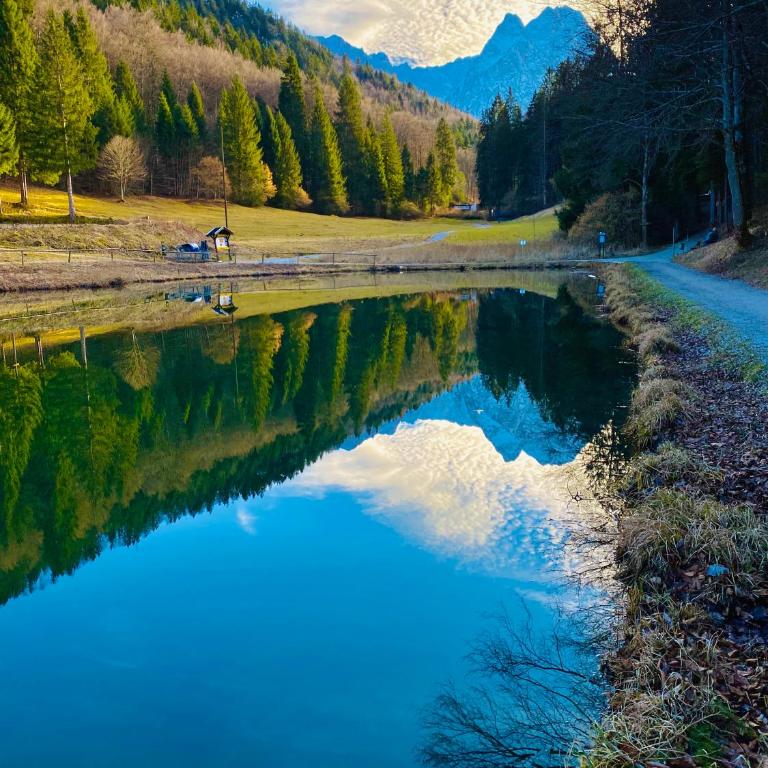 Alpine Escape Holiday Home with Mountain View - Ferienhaus - 46