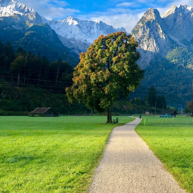 Alpine Escape Holiday Home with Mountain View - Ferienhaus - 48