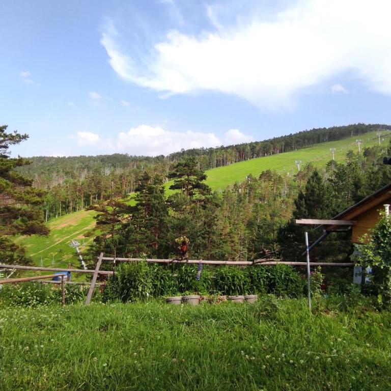 Andrica Sokak - Apartman sa Pogledom na Planinu - 39