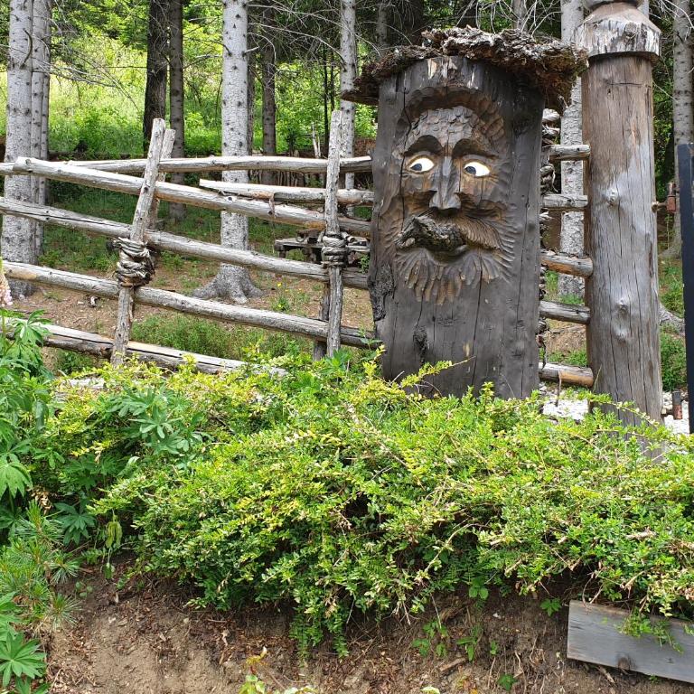 Alm-Ferienhaus Gaisegg am Klippitztörl - Ferienhaus - 41