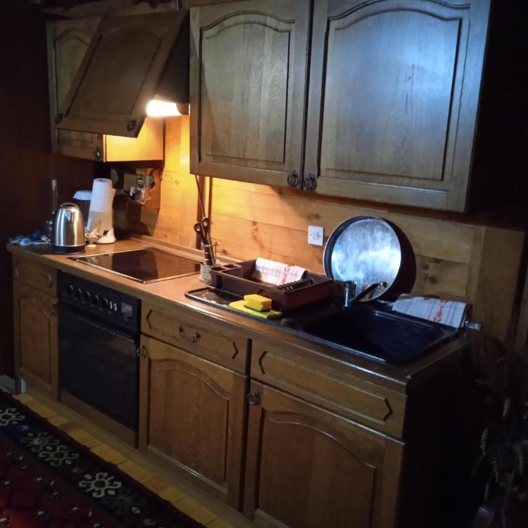 Apartmani Dada Kanjon Grmuša - Three-Bedroom House - 21