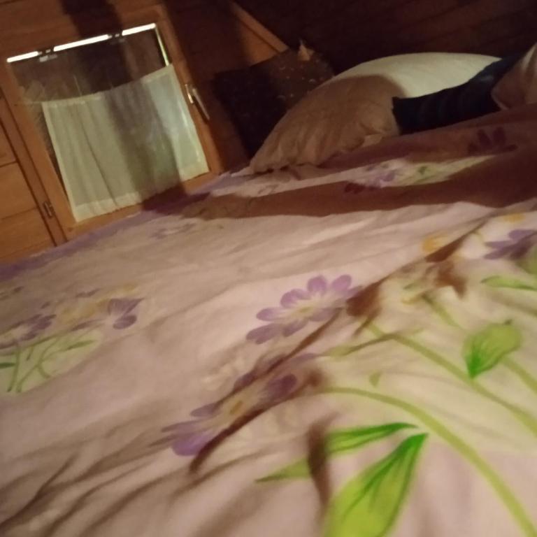 Apartmani Dada Kanjon Grmuša - Three-Bedroom House - 46