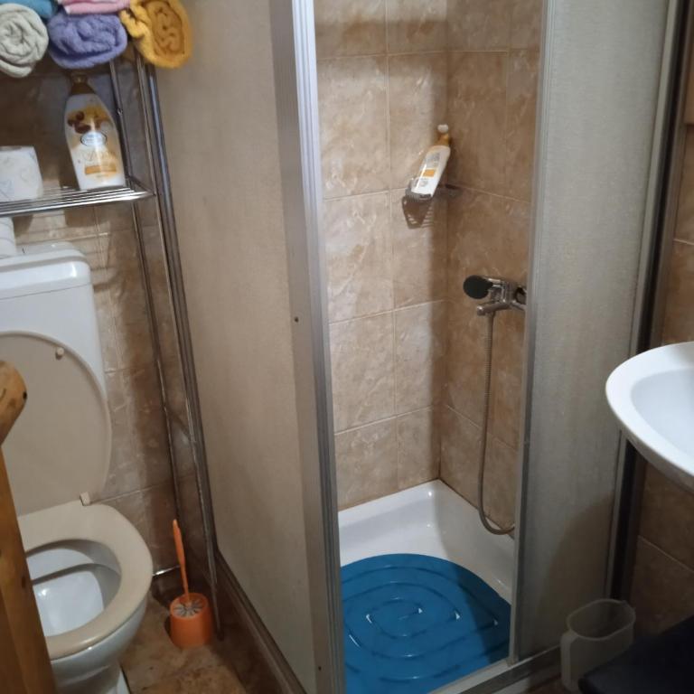 Apartmani Dada Kanjon Grmuša - Three-Bedroom House - 44