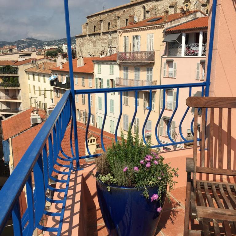 les terrasses du Suquet - Appartement 1 Chambre - 4
