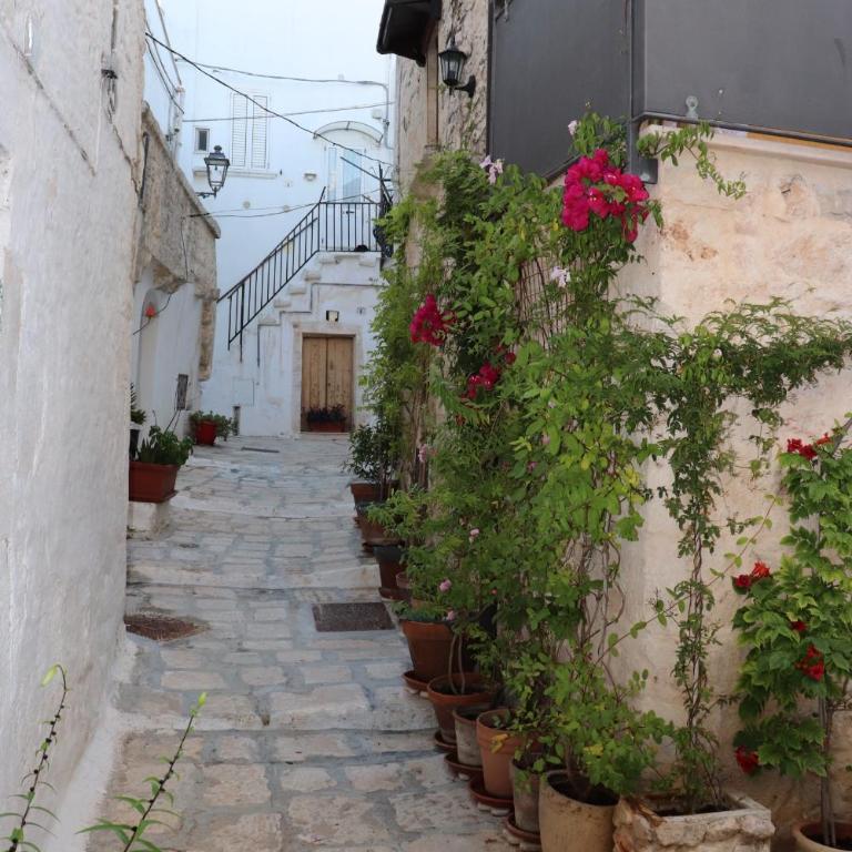 Matilda's apulia holiday home - One-Bedroom House - 12