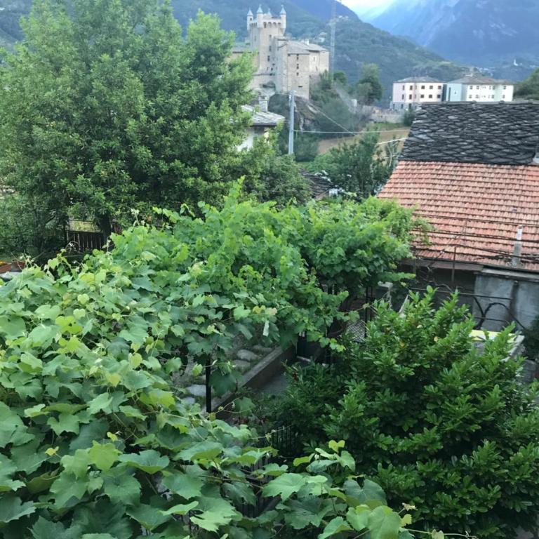 Appartamenti Il Castello - Maison de Vacances - 11