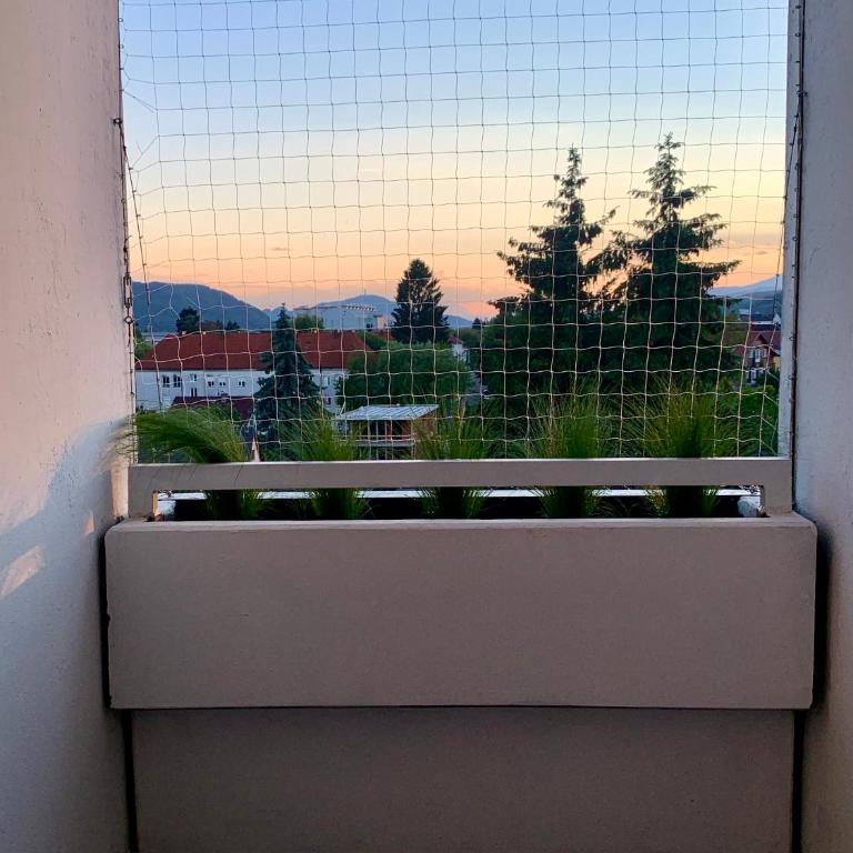 Appartement 509 - Apartment mit 1 Schlafzimmer - 12