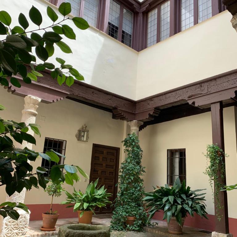 A dream in Toledo - Apartamento de 1 dormitorio - 23