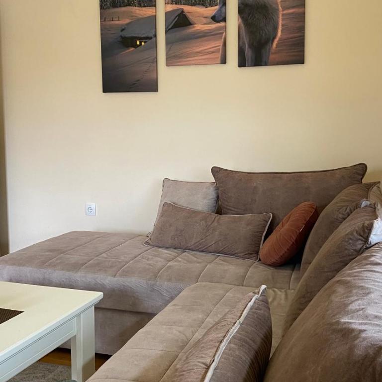 Lux apartman Nena 29 - Zlatibor (centar) - Apartman sa 1 Spavaćom Sobom - 11