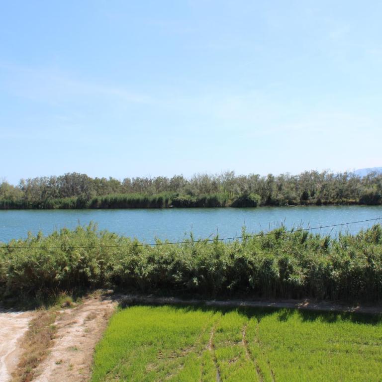 Villa de l'Ebre - Six-Bedroom House - 35