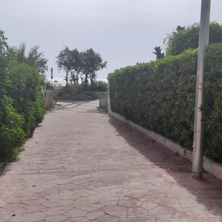 Estudio PREMIUM Vera Playa Naturista - Estudio - 7