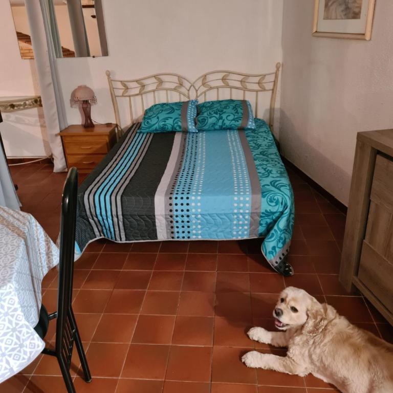 APT 65 M2 DANS VILLA AVEC PISCINE BANYULS SUR MER - One-Bedroom Apartment - 27