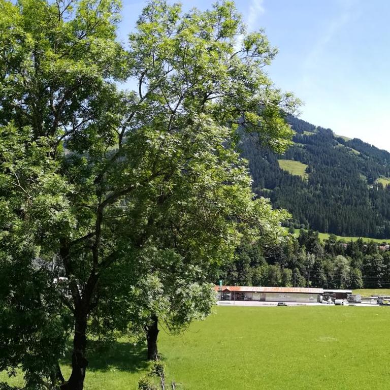 Appartement Sonnentraum - Apartment mit 2 Schlafzimmern - 22