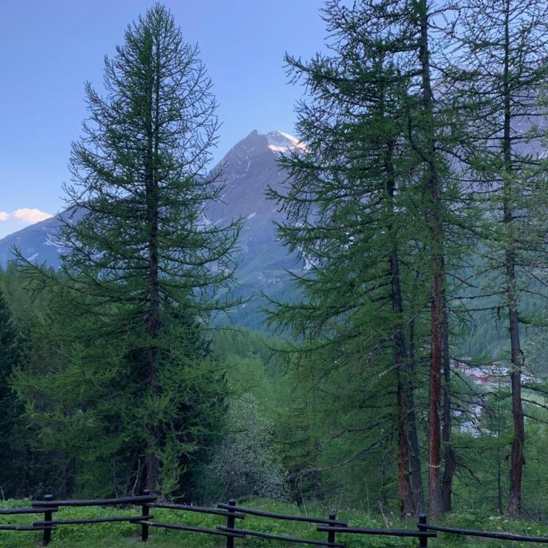 Casa Camas, wide 2bedroom, feel the mountain - Appartamento con 2 Camere da Letto - 39