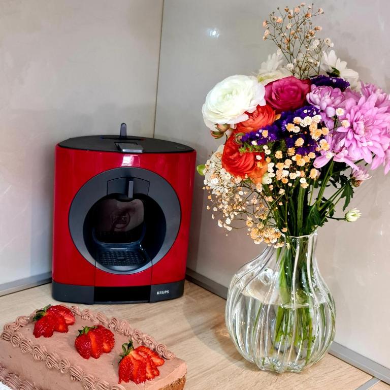 Residence Riverside - Penthouse Apartment - 10