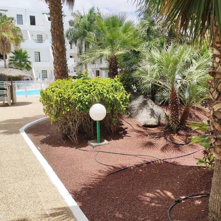Apartamento BellAloe - Apartamento de 1 dormitorio - 10