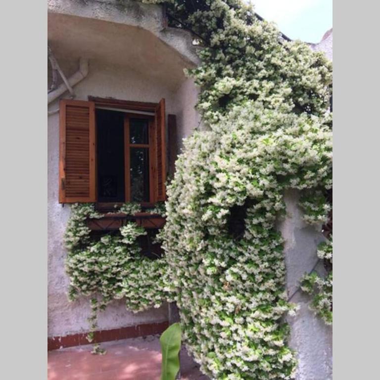 Villa dei Pioppi - Villa con 3 Camere da Letto - 25