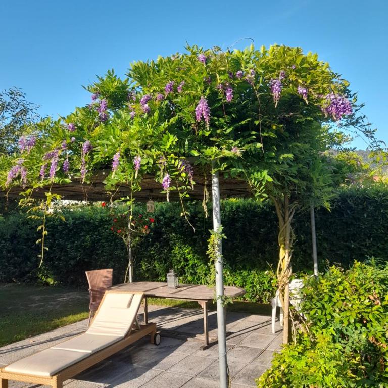 Villa la provenzale - Villa con 3 Camere da Letto - 33