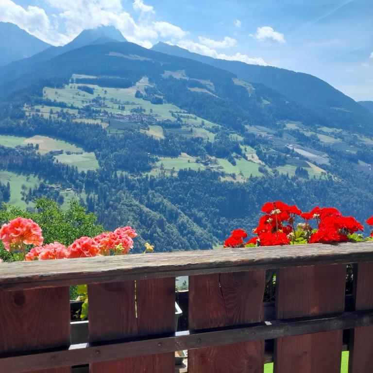Stuberhof - Appartamento - 3
