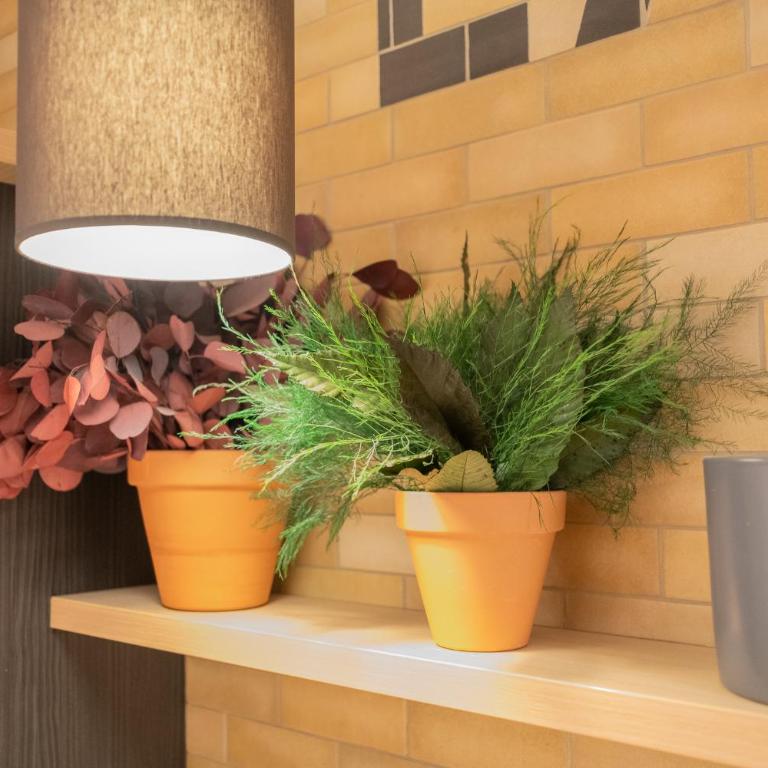 CALM Appart' & Hostel - Lit dans Dortoir pour Femmes de 6 Lits - 2