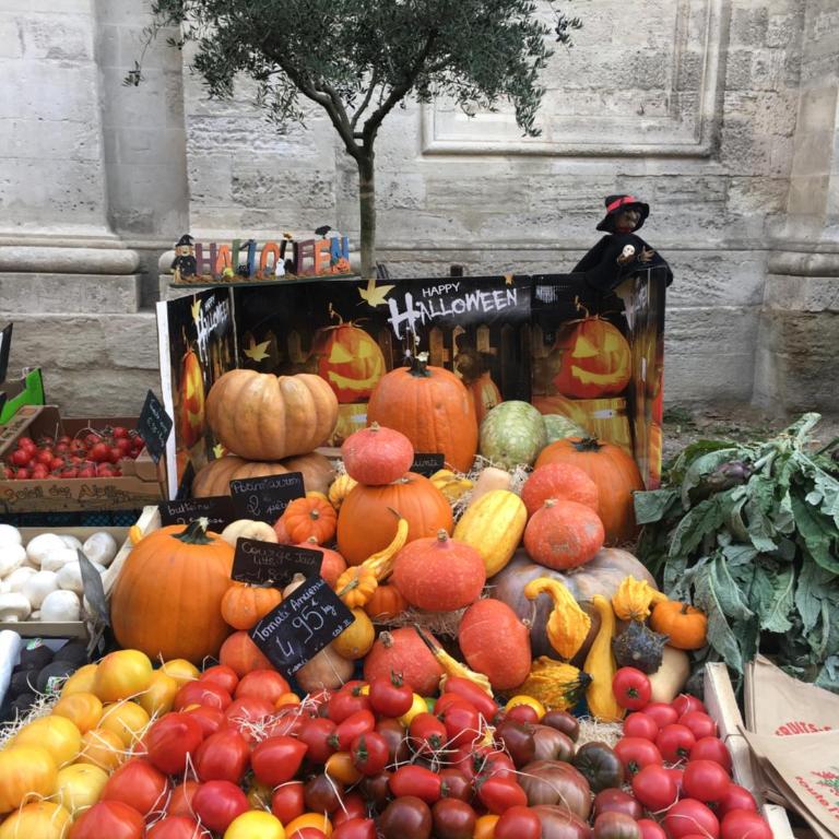 Un Coin De Luberon - Monolocale (2 Adulti) - 34